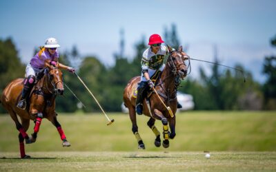 05 December 2021: 8 Goal Ugly Ducklings VS Rhone Hill