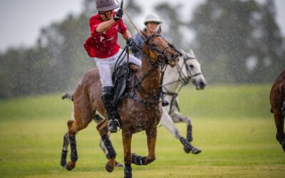 05 December 2021: 8 Goal Spotswood VS Confido