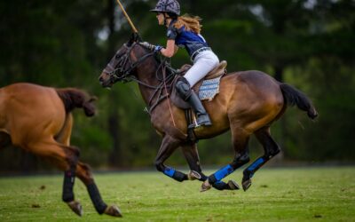 09 December 2021: 2 Goal La Familia VS Solar Beach VS Black Forest Tigers