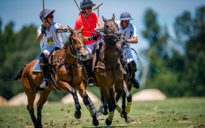 12 December 2021: 8 Goal Ugly Ducklings VS Confido