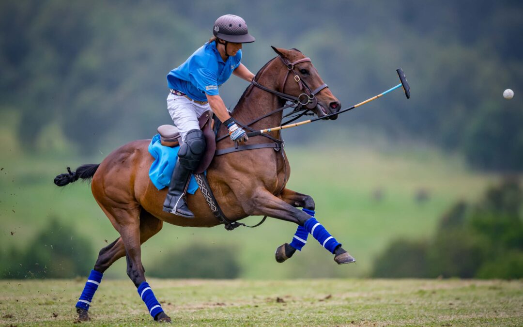 13 December 2021: 2 Goal Solar Beach VS Sergeant Reckless