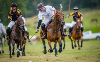 13 December 2021: 2 Goal Black Forest Tigers VS Valmont