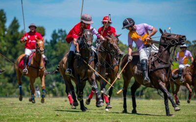 12 December 2021: 8 Goal Spotswood VS OKL