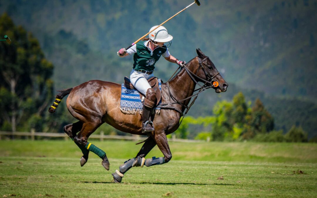 18 December 2021: 4 Goal Black Forest Tigers VS Mabelstone
