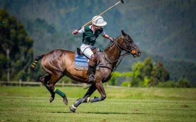 18 December 2021: 4 Goal Black Forest Tigers VS Mabelstone