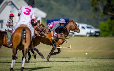 03 December 2021: Irish Cup Low Goal