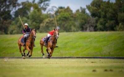 04 December 2021: Irish Cup Low Goal